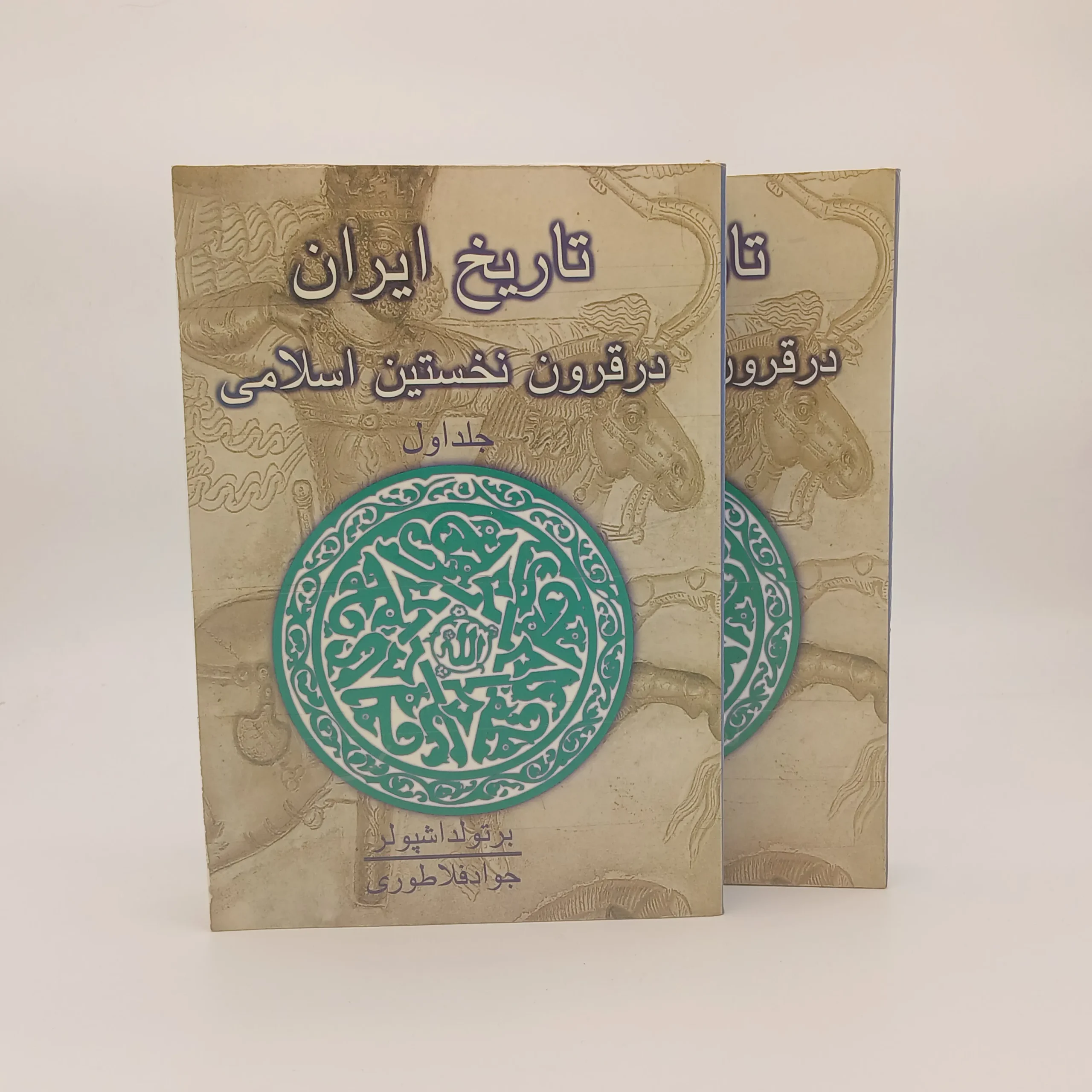 تاریخ ایران در قرون نخستین اسلامی ( دو جلدی )