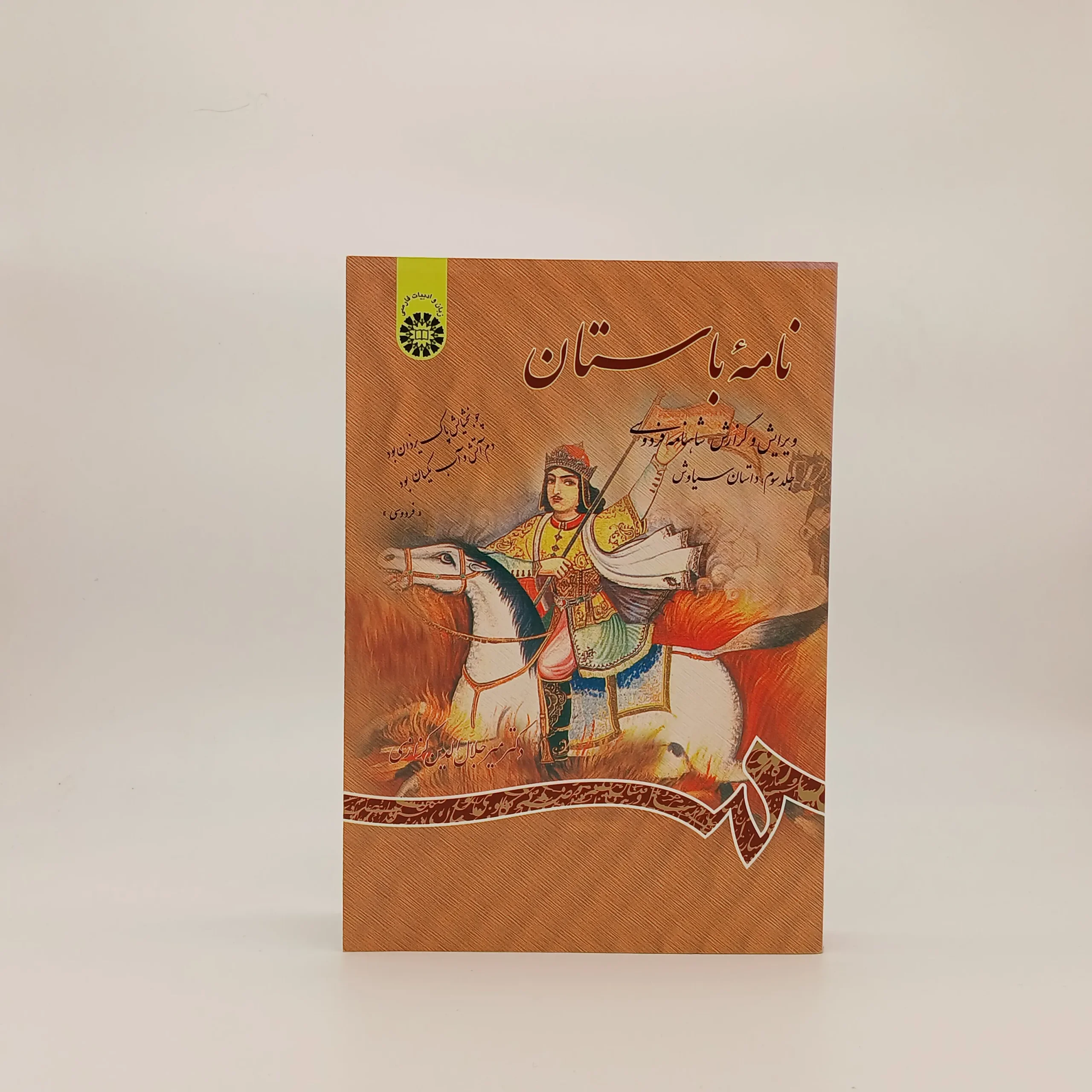 نامه باستان: ویرایش و گزارش شاهنامه فردوسی