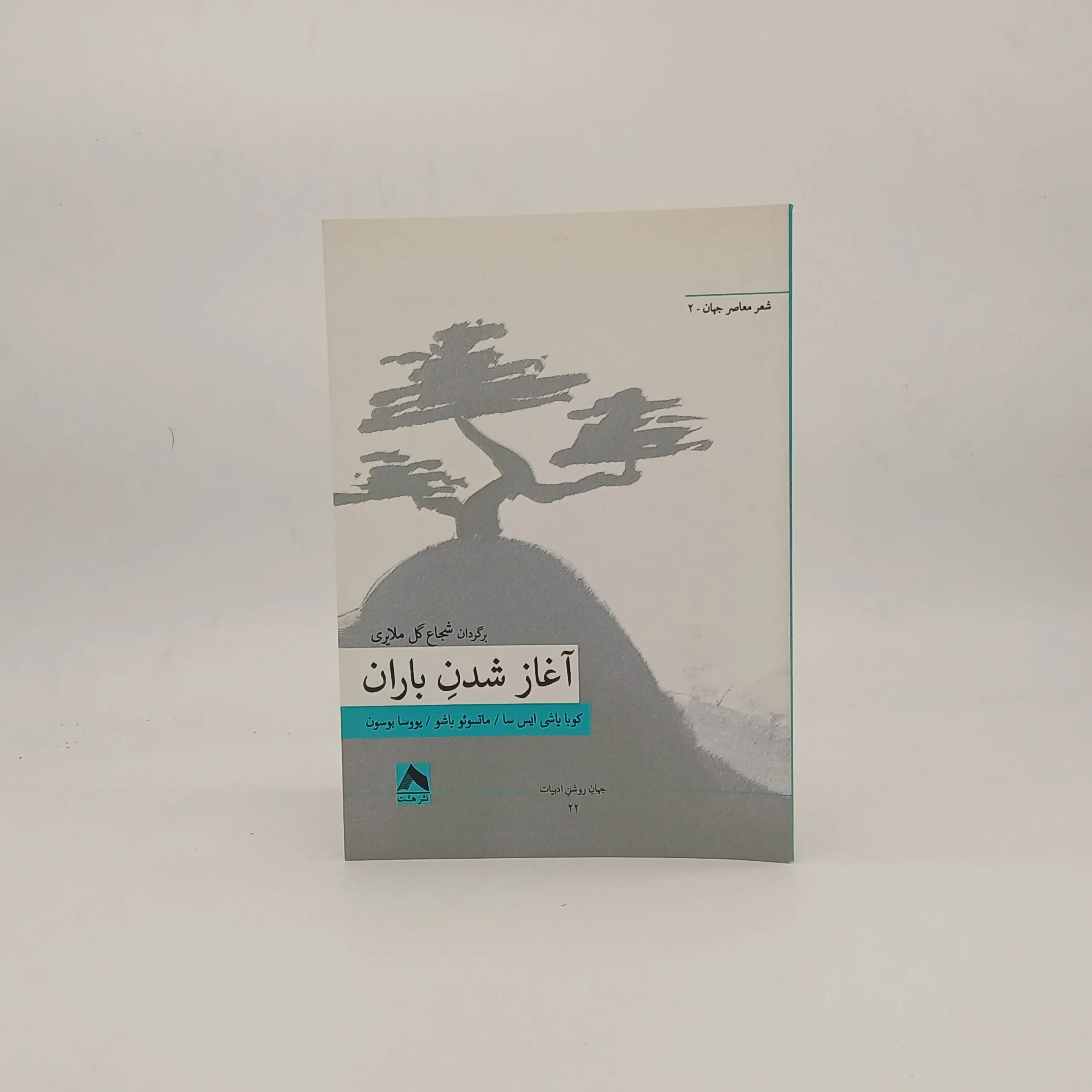 آغاز شدن باران