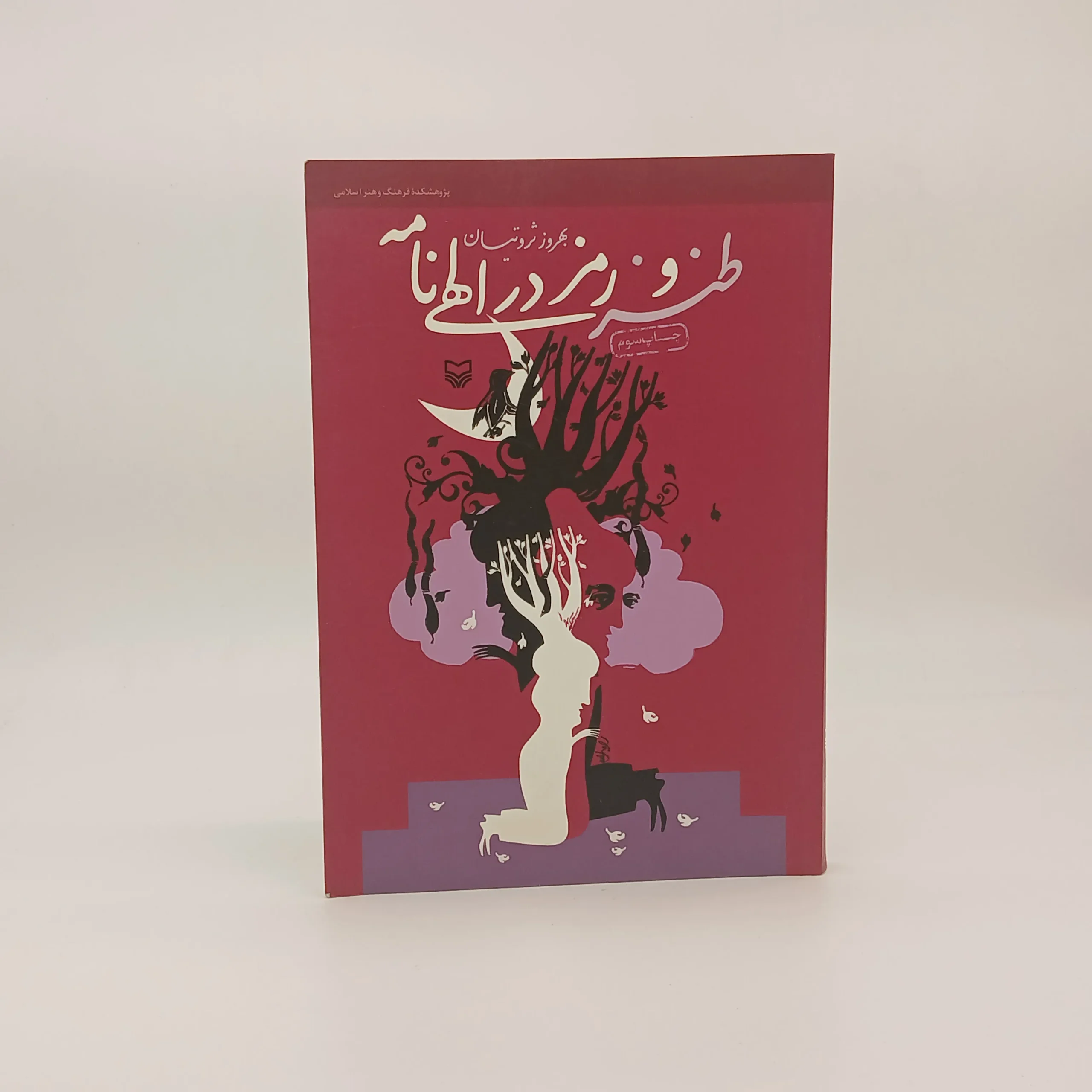 طنز و رمز در الهی نامه