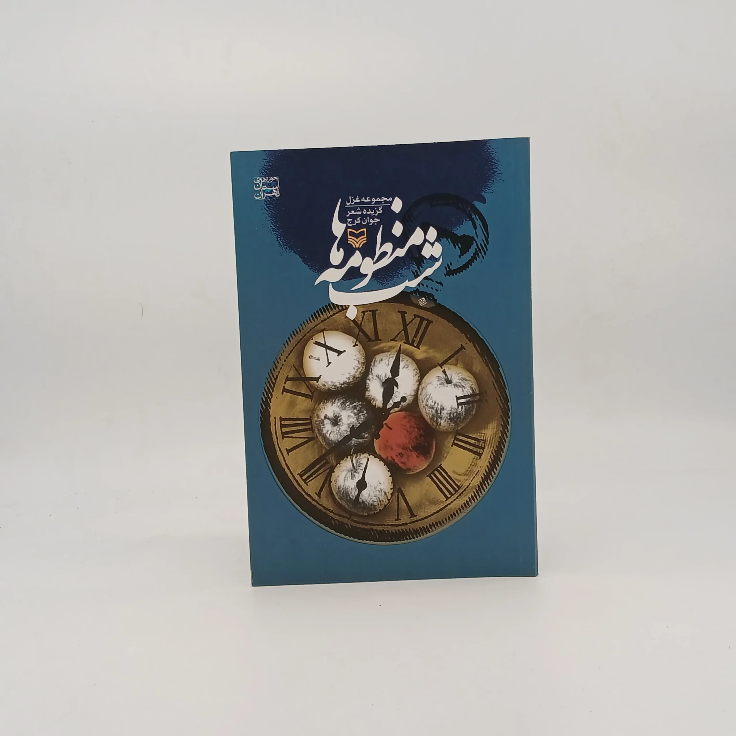 مجموعه غزل شب منظومه ها سروده مهدی زارعی