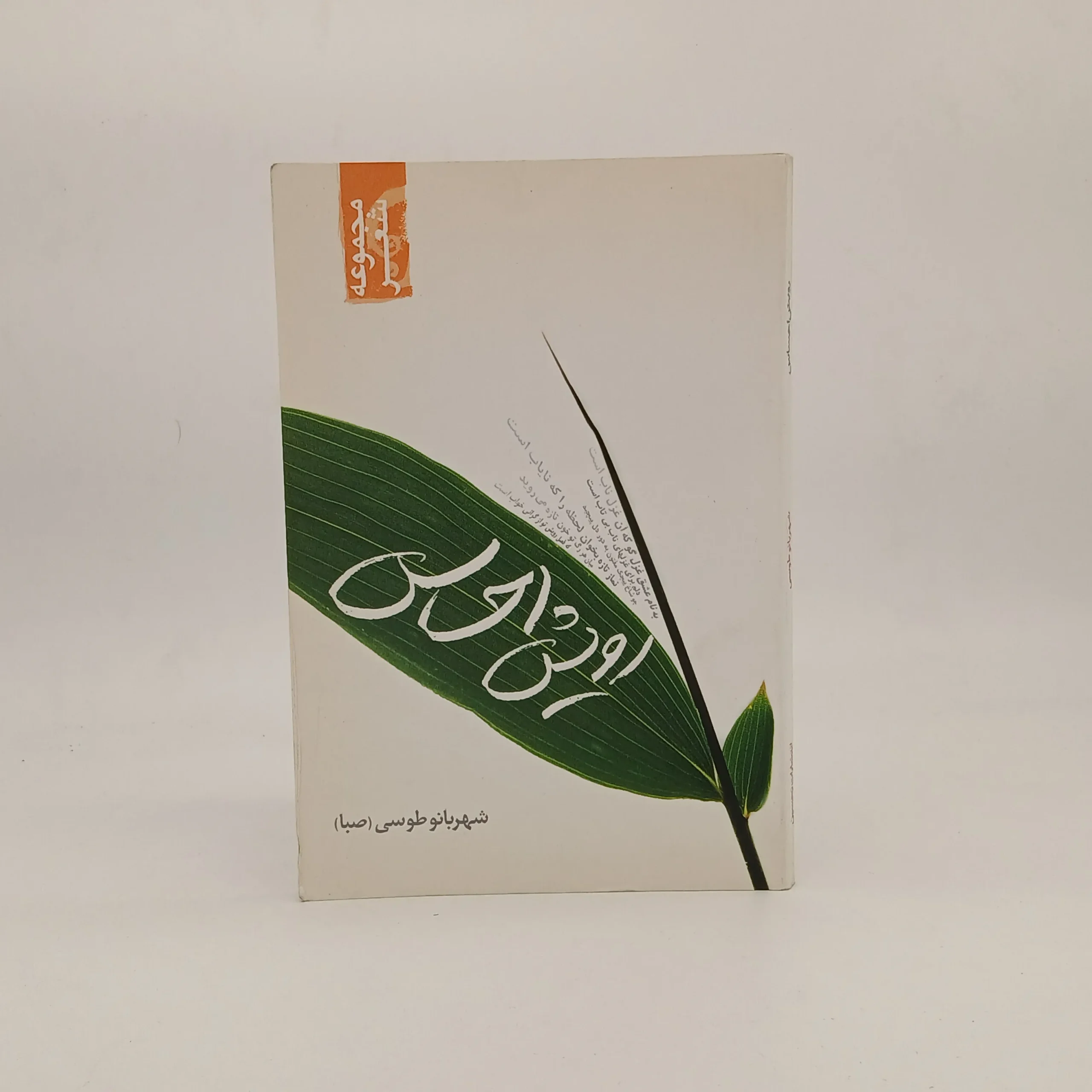 رویش احساس