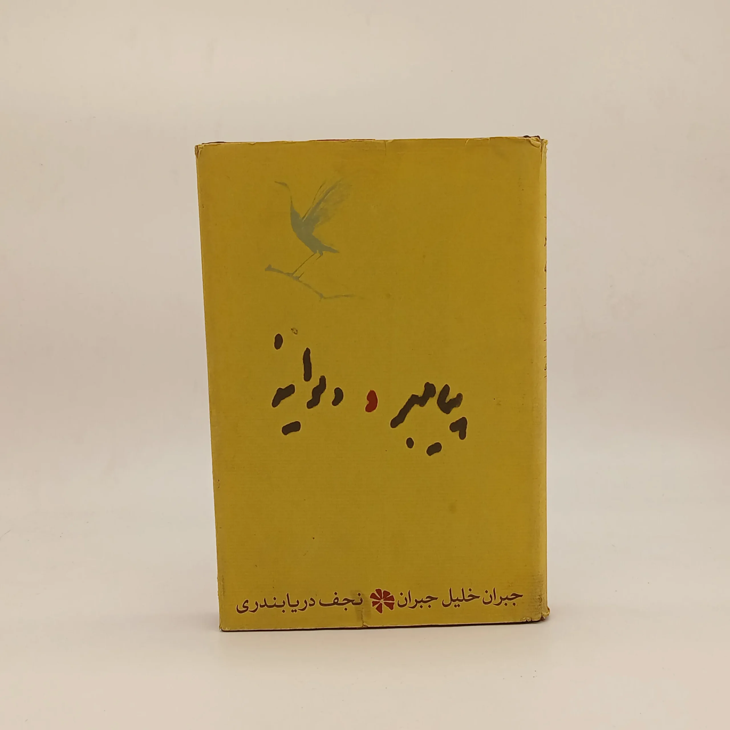 پیامبر و دیوانه