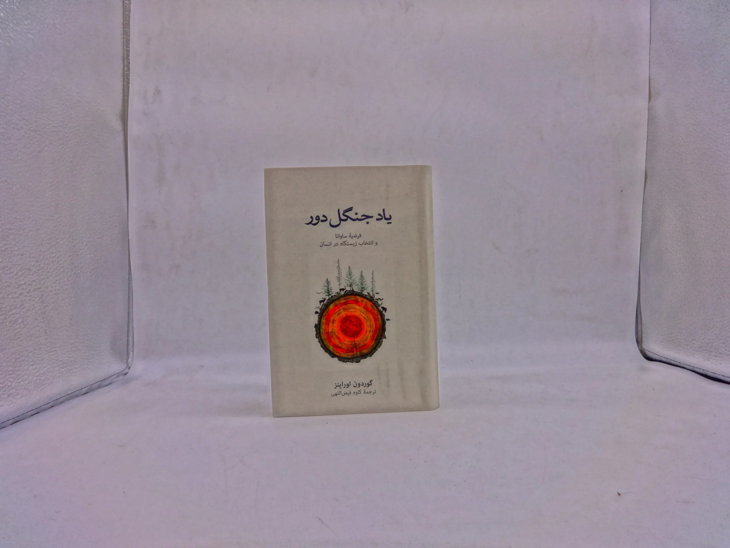 یاد جنگل دور