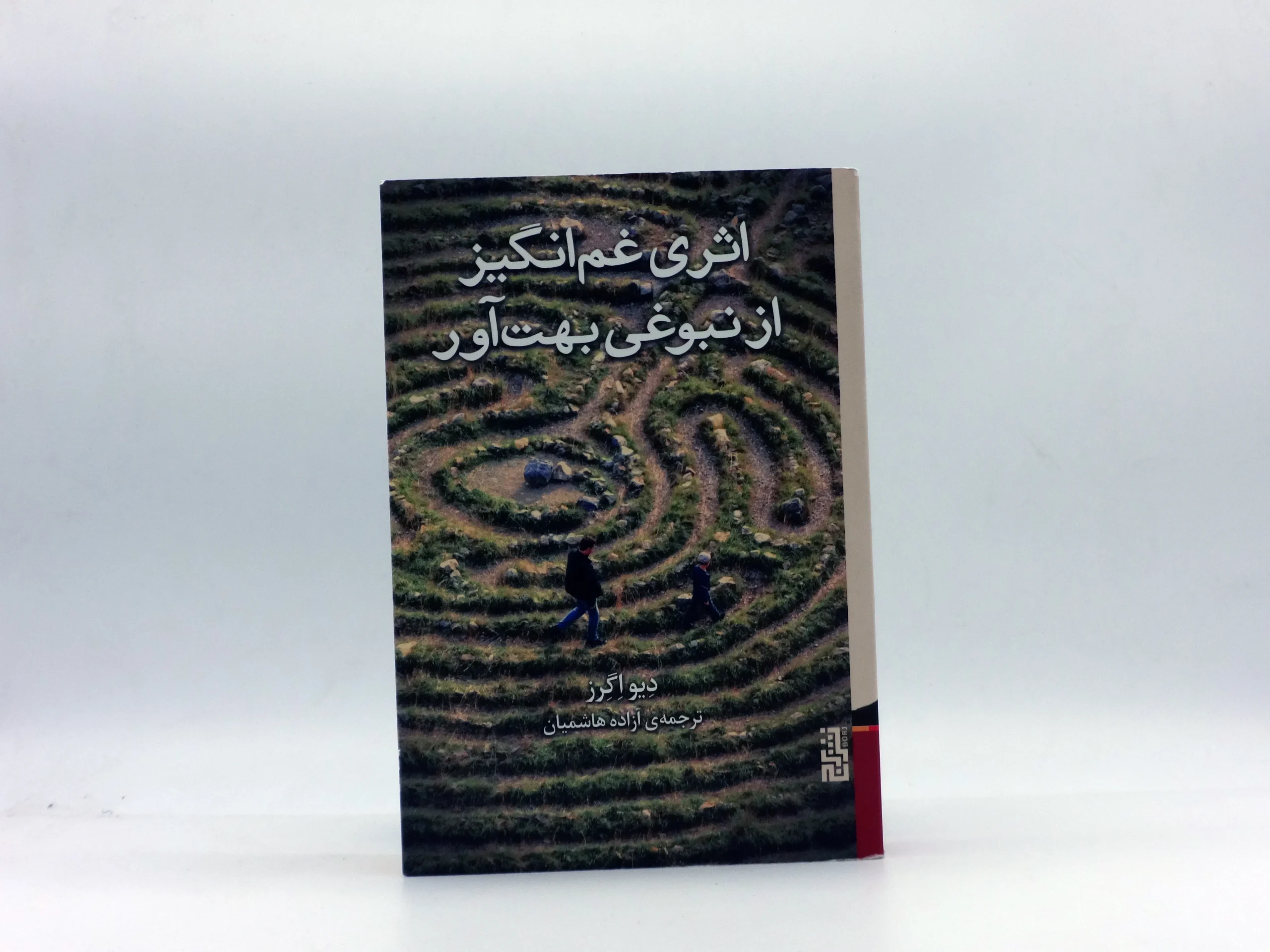 اثری غم انگیز از نبوغی بهت آور