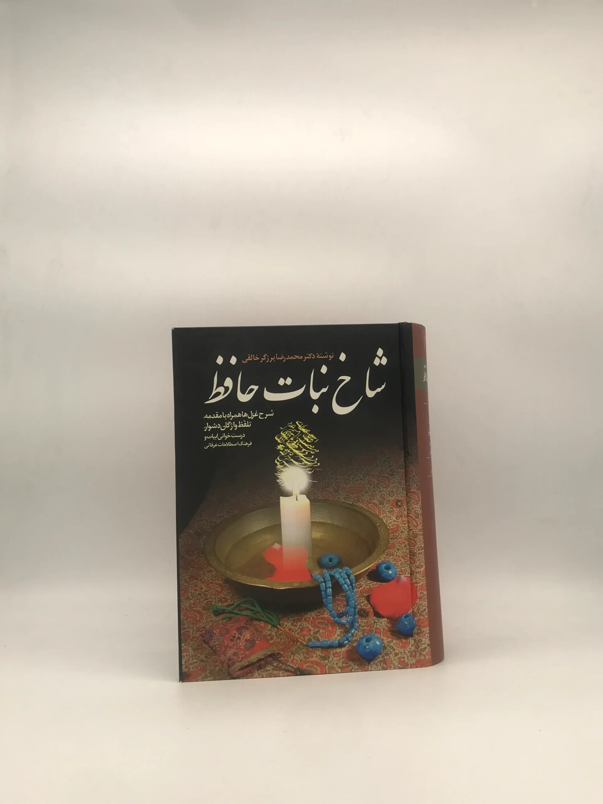 شاخ نبات حافظ(شرح غزل ها همراه با مقدمه)