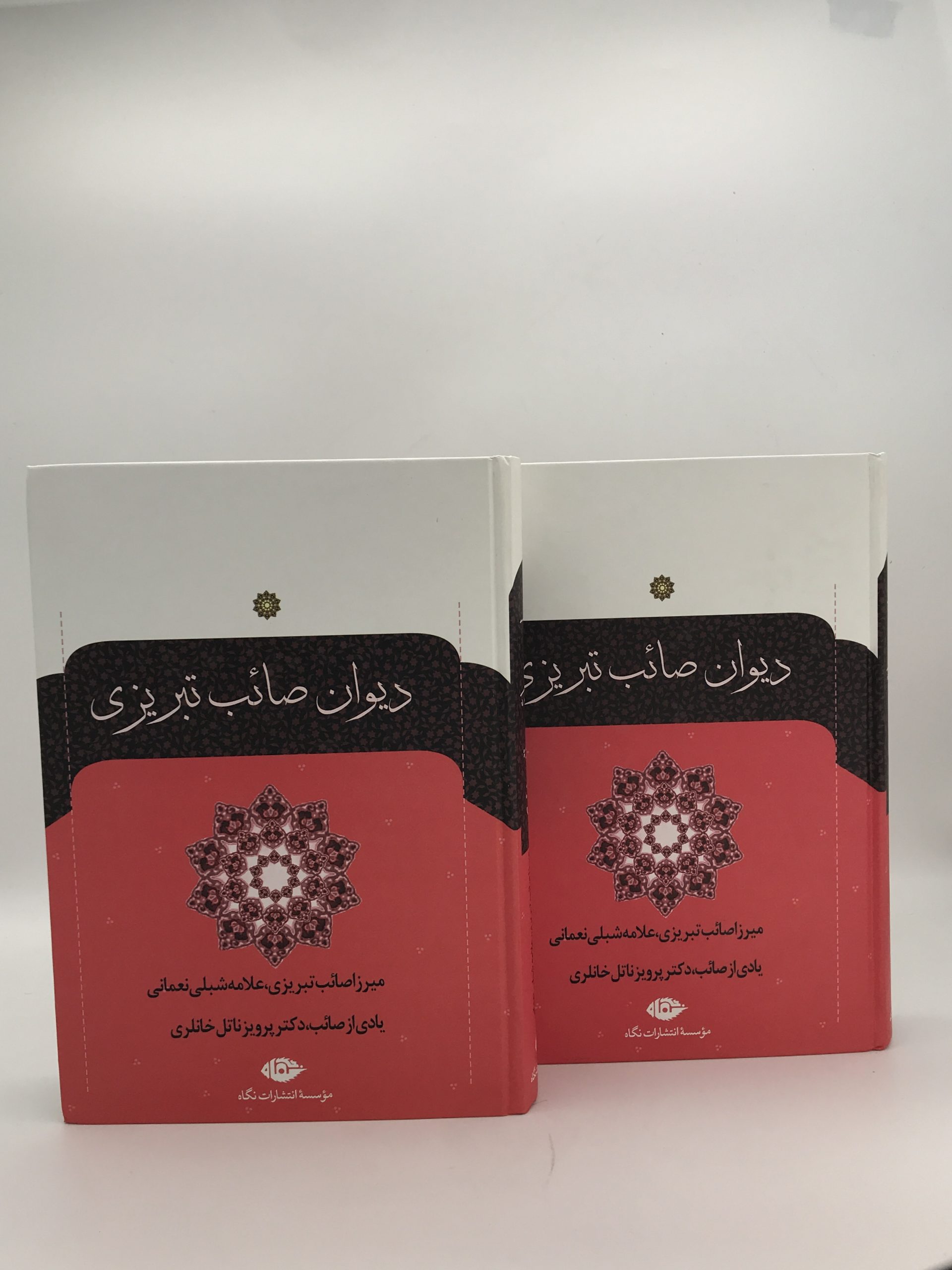 دیوان صائب تبریزی دو جلدی