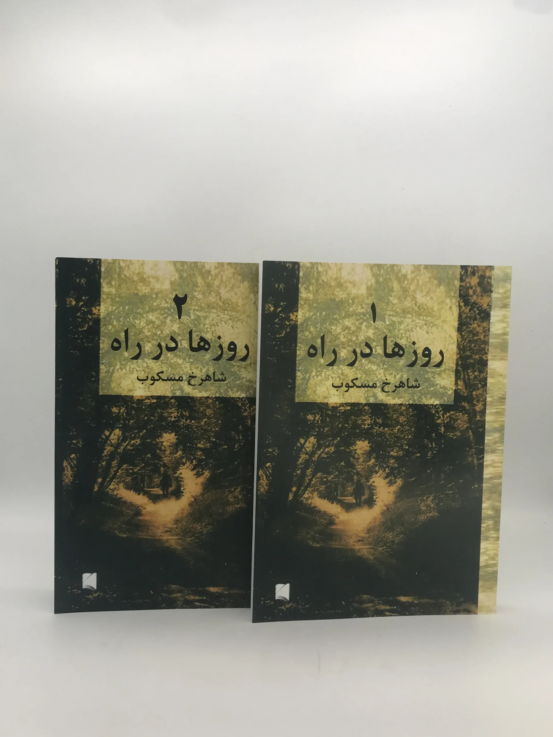 روزها در راه (دوره 4 جلدی)