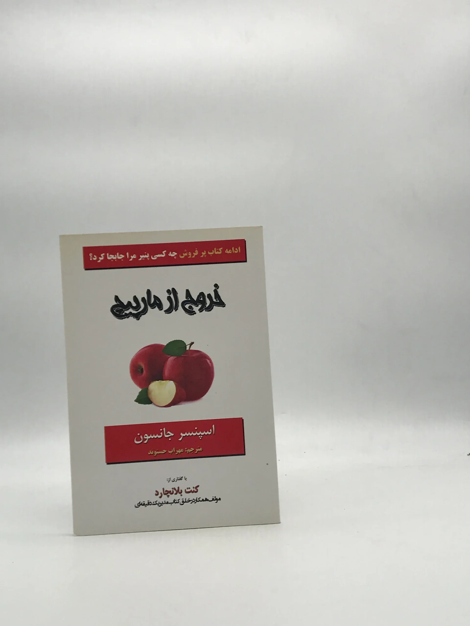 خروج از مارپیچ- ادامه کتاب چه کسی پنیر مرا جابجا کرد