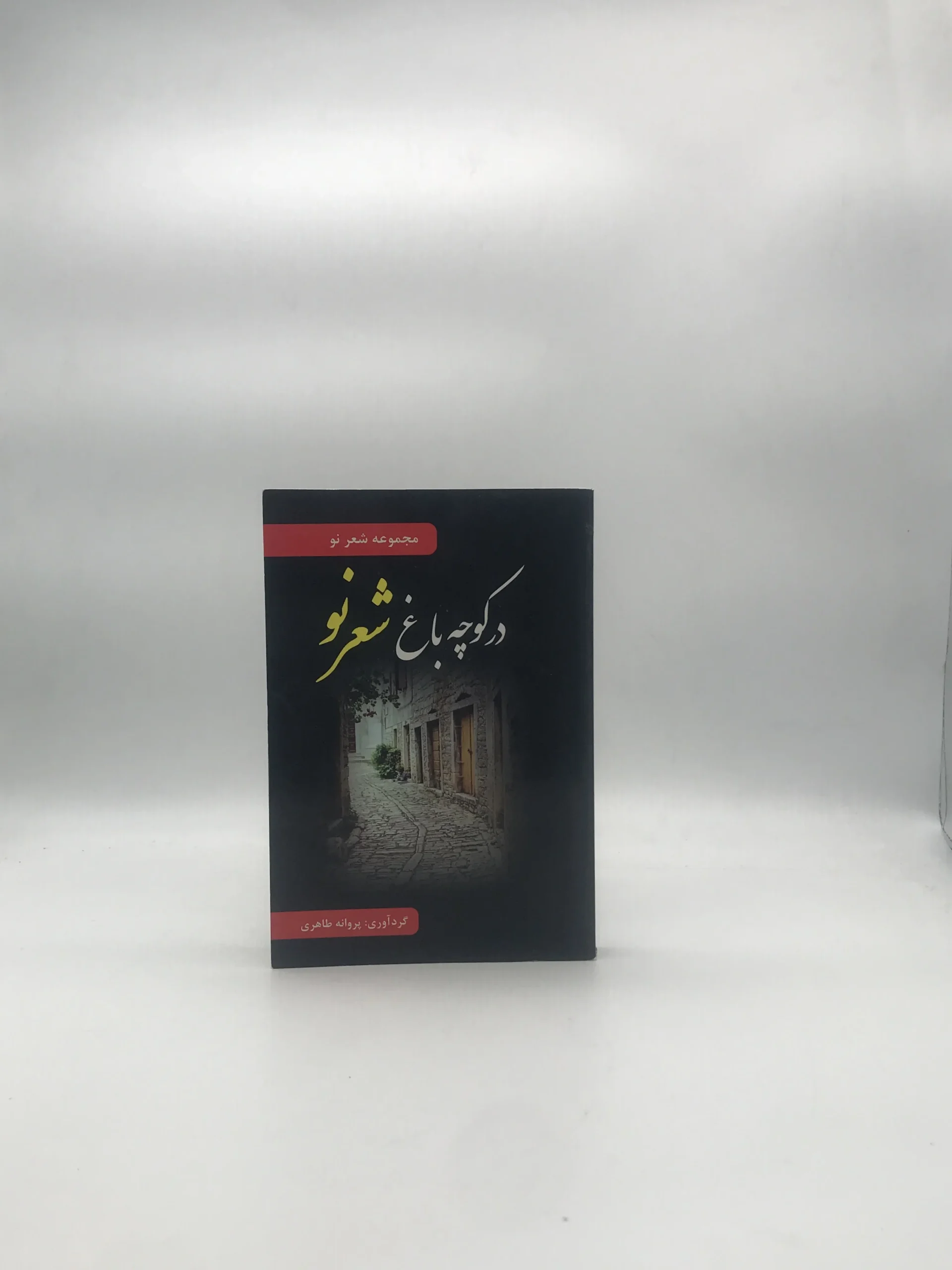 در کوچه با غ شعر نو