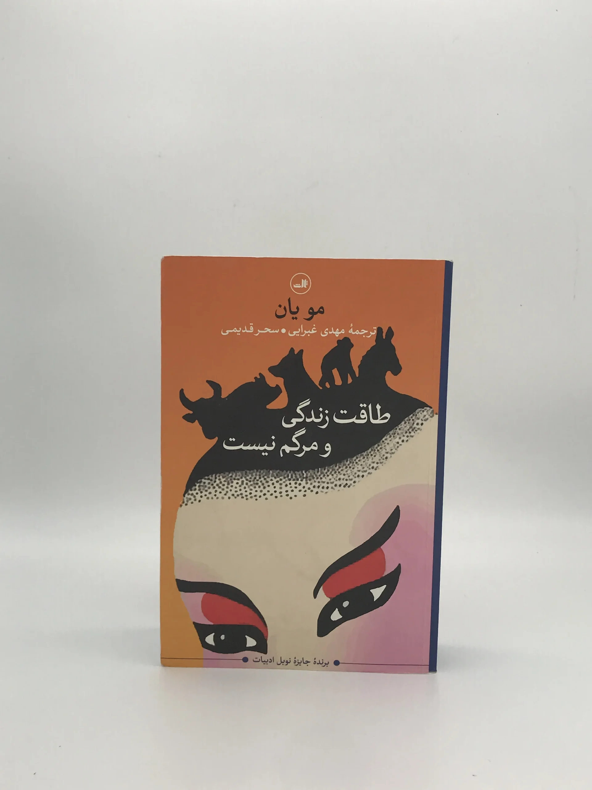 طاقت زندگی و مرگم نیست نوشته مو یان با ترجمه مهدی غبرایی از نشر ثالث
