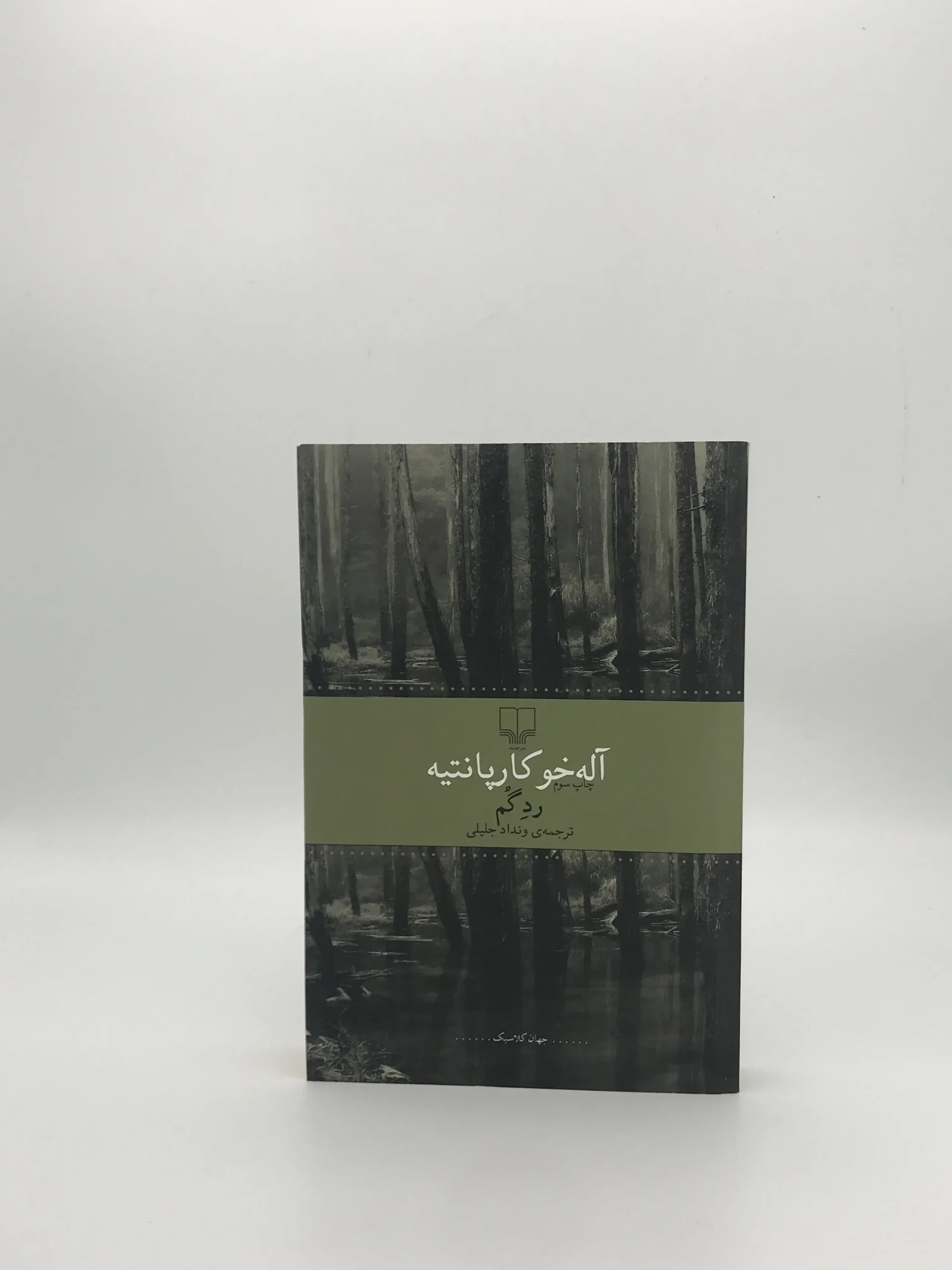رد گم نوشته آله خو کارپانتیه از نشر چشمه
