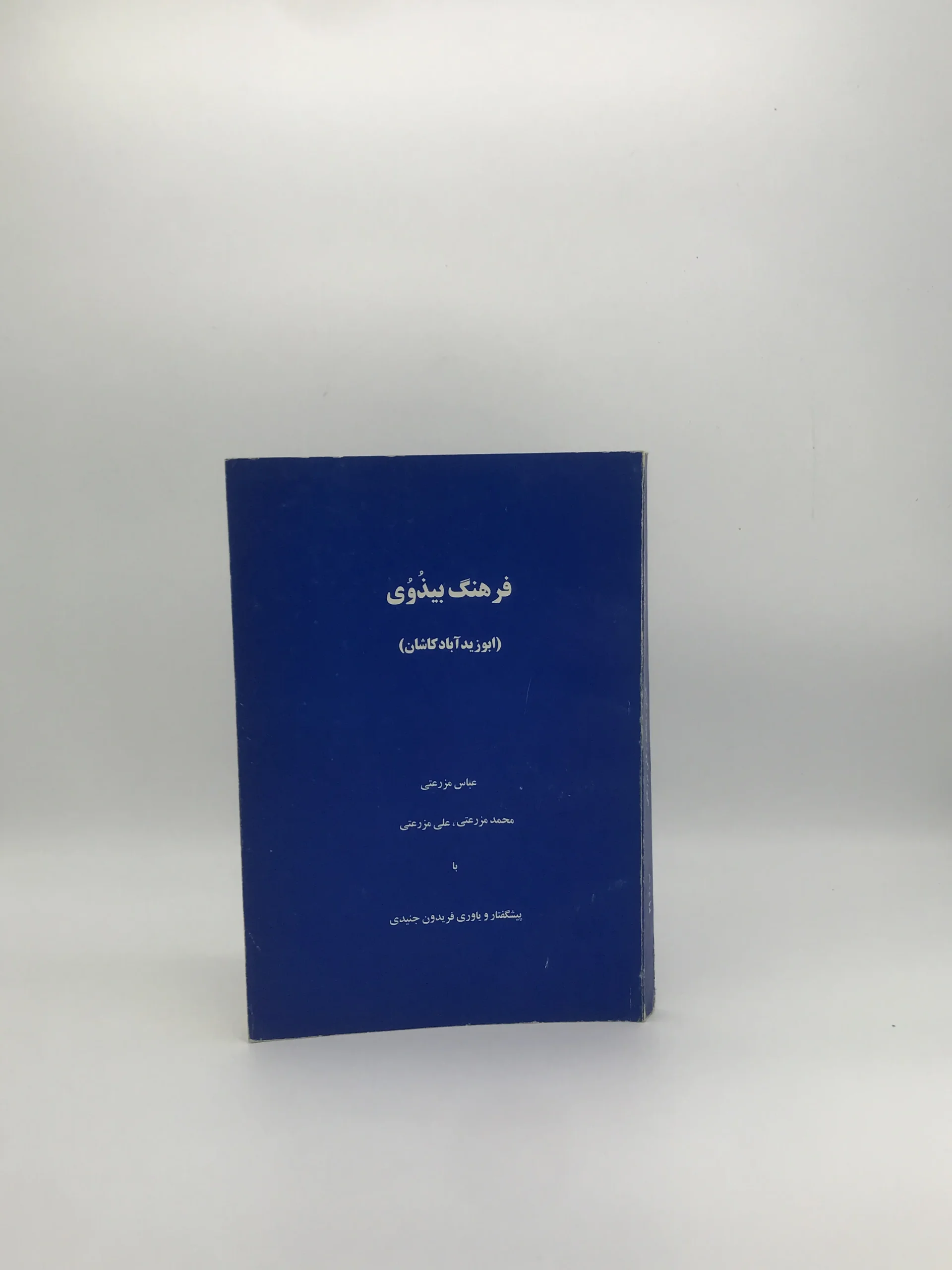 فرهنگ بیذوی نوشته عباس مزرعتی