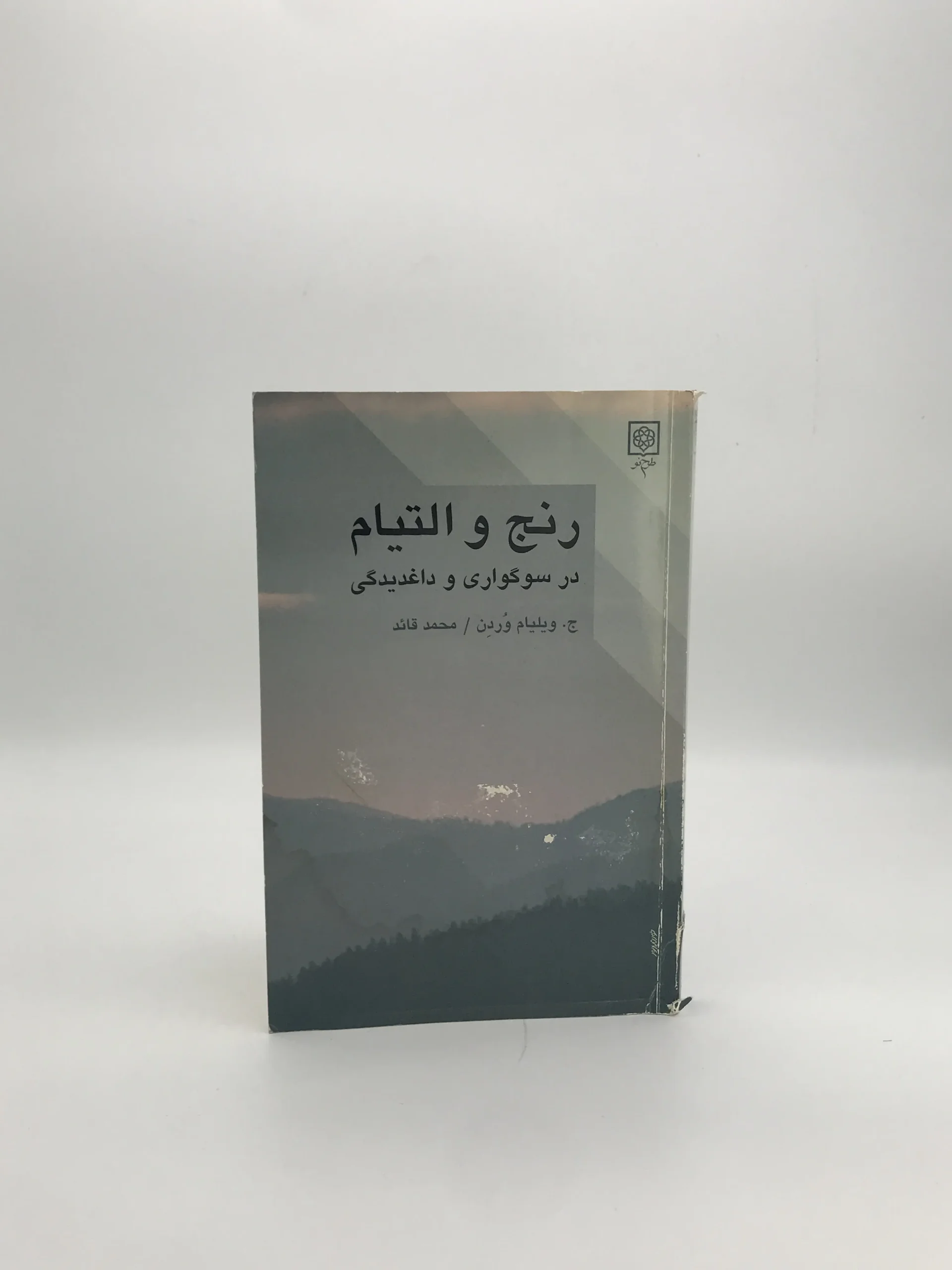 رنج و التیام در سوگواری و دغدیدگی